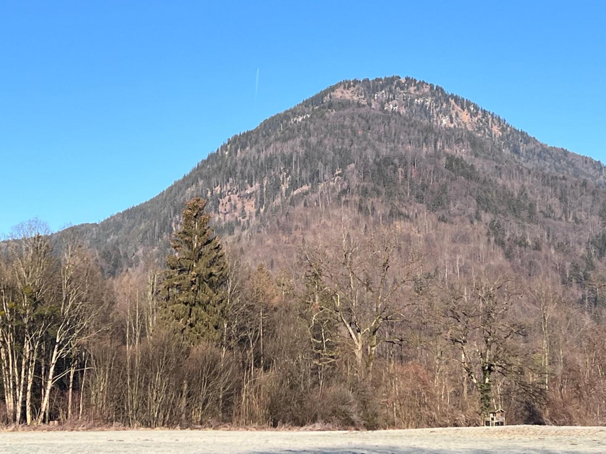 Ferienwohnung Bergwelten Oberaudorf Eksteriør billede