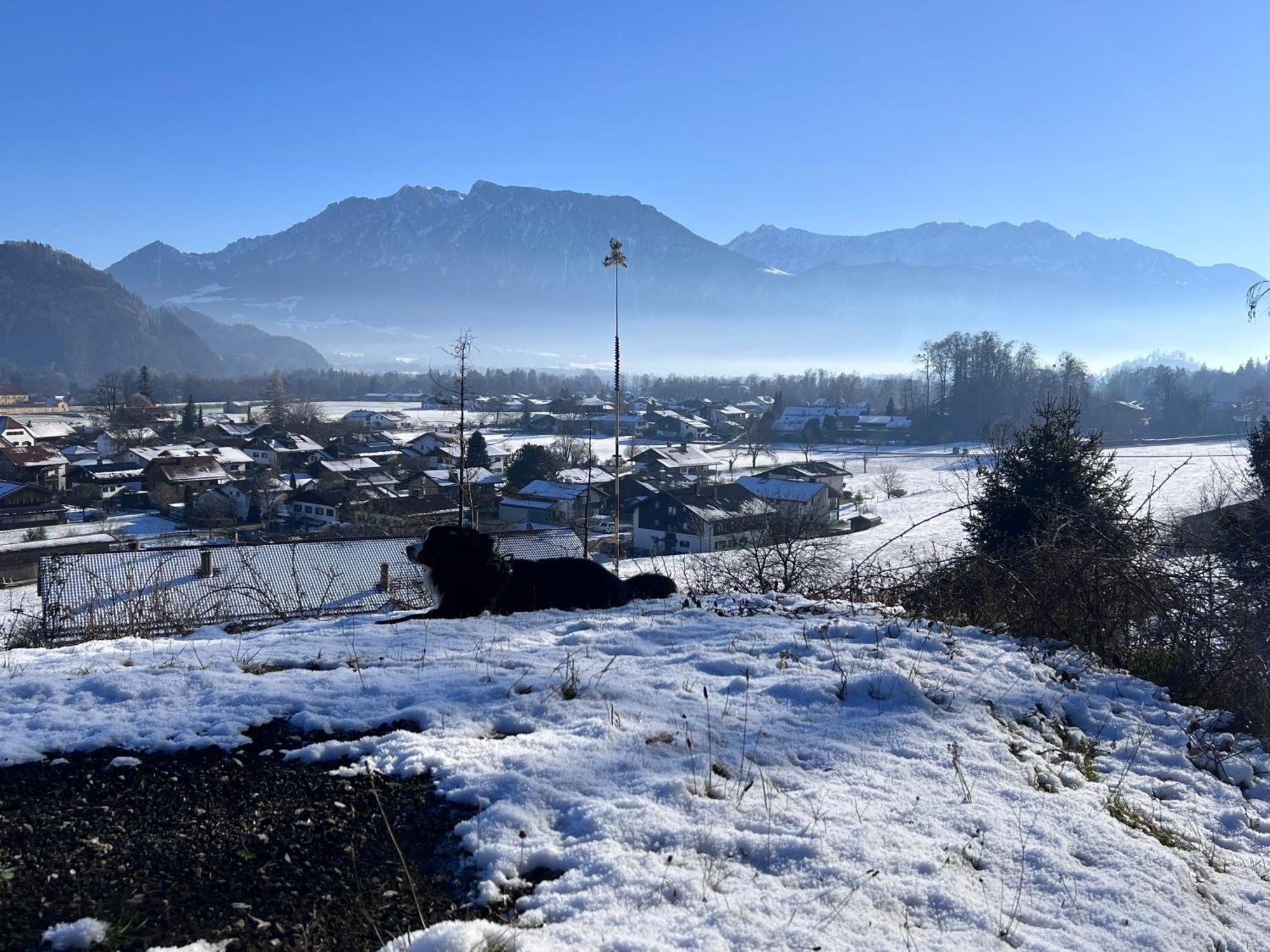 Ferienwohnung Bergwelten Oberaudorf Eksteriør billede